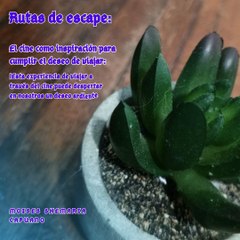 Moises Shemaria Capuano| Estas historias nos inspiran (Parte 3)