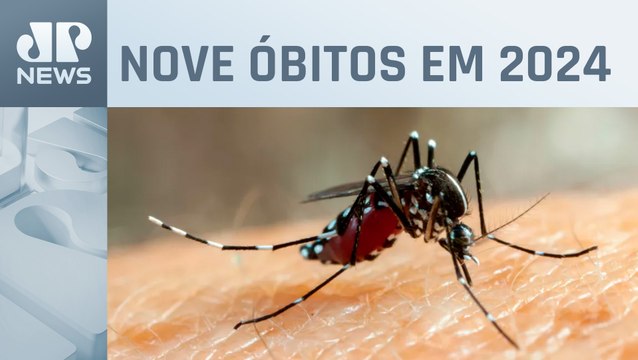 Mais três mortes por dengue são confirmadas no RJ