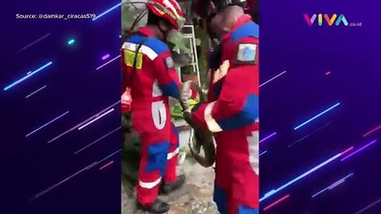 Lagi Asik Nyuci Baju, Tiba-Tiba Didatangi Ular 'Raksaksa'