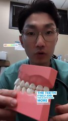 The Importance of Gum Care in Dental Hygiene