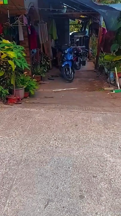 motovlog