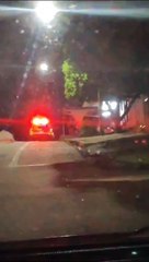 GM e Saau resgatam cavalo que foi deixado amarrado sem água, em Umuarama