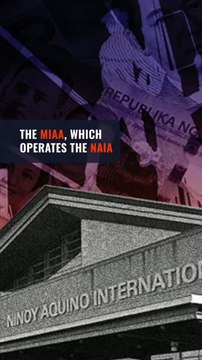 Bed bugs in NAIA? Airport operator apologizes to bitten passengers