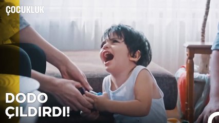 Dodo'nun Annesinden Kalan Son Hatıra - Çocukluk