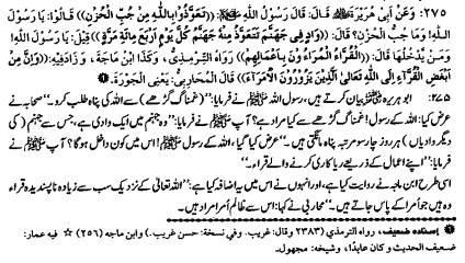 STUDY WALY HELL MN SAB SY BURI JAGA MAIN (275)