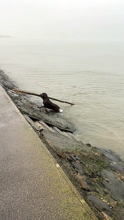 Executive Aquatic Branch Manager
