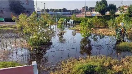 बख्तासागर तालाब पार्क को आधुनिक सुविधाओं से युक्त मॉडल के तौर पर करेंगे विकसित