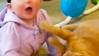 #funny cats and baby fight