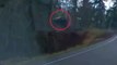 Distracted driver flies off Oregon road and plunges 200ft down embankment