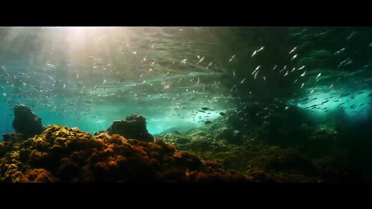 Evolution (2015) - Bande annonce