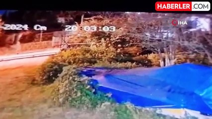 Bodrum'da 12 hayvanı zehirlediği iddia edilen şahıs yakalandı