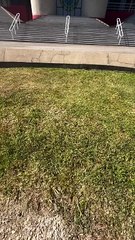 ¡Así va el montaje para el concierto de Olga Tañón en Venezuela!