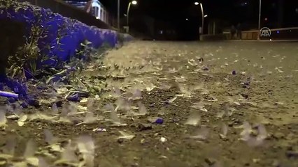 Ölüm uçuşu başladı: Birer birer hayata veda ediyorlar