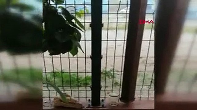 Trakya’da hayat felç oldu, nohut büyüklüğünde dolu yağdı