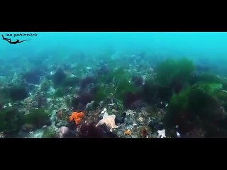 İstanbul Boğazı maske ve eldiven doldu
