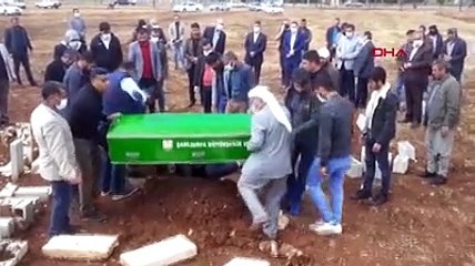 Öldürülen annelerini yavru köpekler emmeye çalıştı