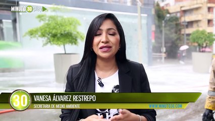 El Corredor del Tranvía de Ayacucho se embellece con la siembra de nuevos jardines