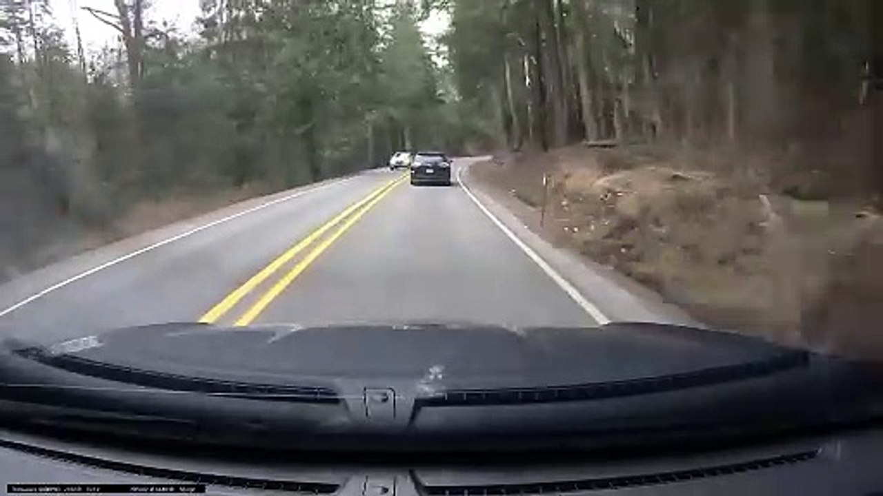 Tree Branch Falls On Windshield