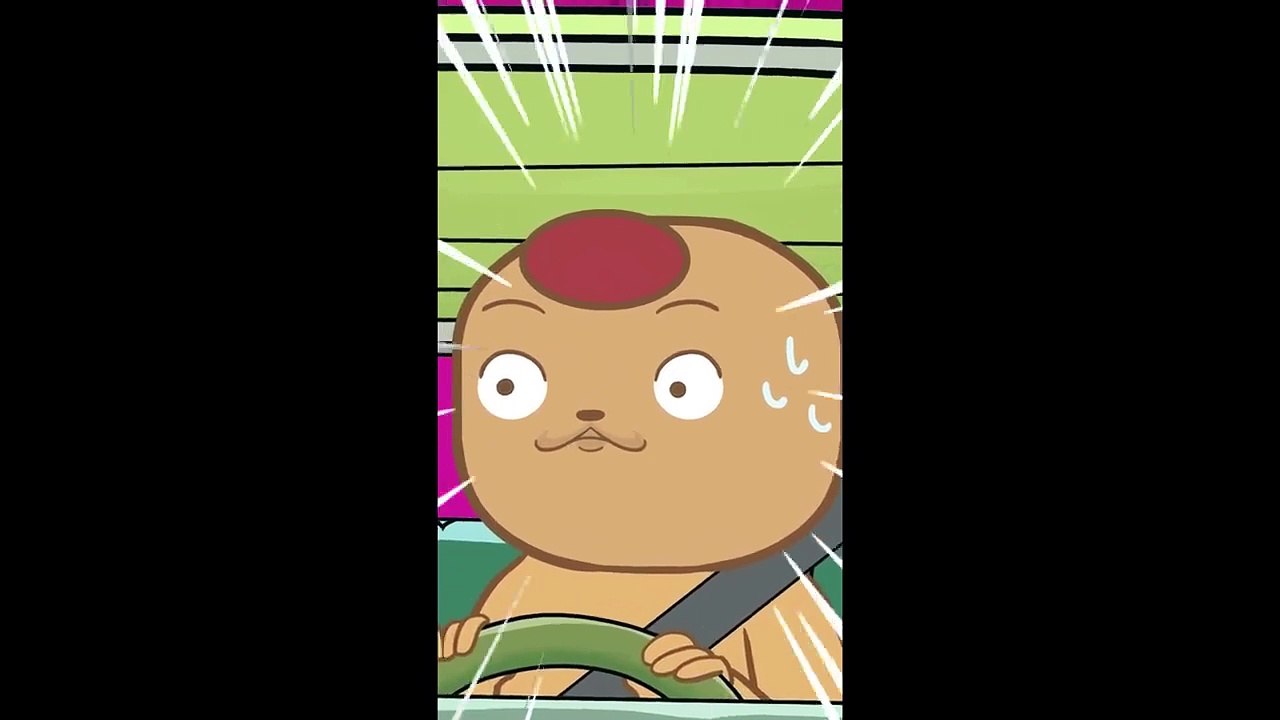 LEO SUCCULENT - SAISON 4