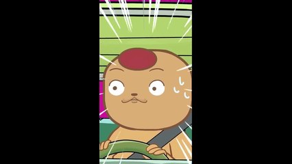 LEO SUCCULENT - SAISON 4