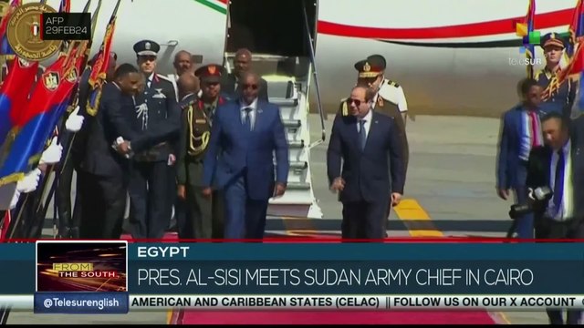 FTS 14:30 29-02: Israeli attack targets Palestinians waiting for aid in Northern Gaza