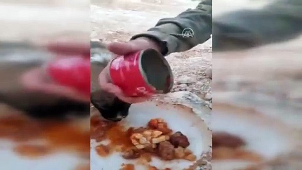 Mehmetçik yemeğini yavru köpeklerle paylaştı. O görüntüler paylaşım rekoru kırdı. Siz hep var olun