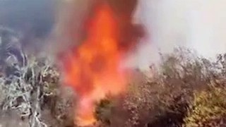 Aparecieron 4 cuerpos sin vida por Incendio Forestal en San Lucas Quiaviní, Tlacolula, Oaxaca