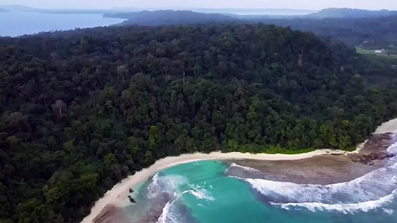 Green island