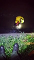 10-01-2021 Rescate a Perrita en Medellín