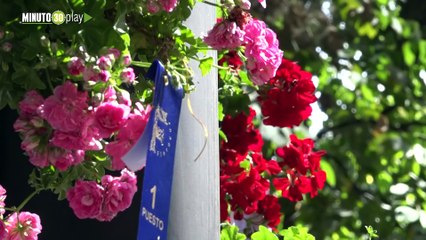 Sector floricultor en Antioquia se recupera en ascenso tras superar la pandemia