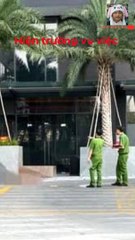 Bình Dương: Điều tra vụ cô gái rơi từ tầng 23 chung cư xuống đất tử vong