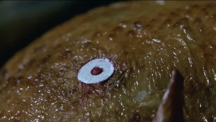 Une Baraque à Tout Casser Bande-annonce (RU)