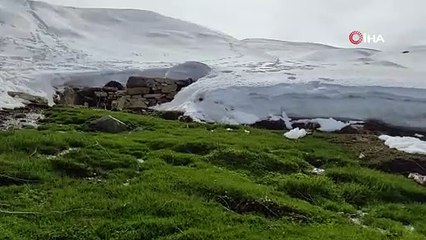 Batman'da vatandaşlar kar ve güneşin keyfini çıkarmak için Sultan Dağı'na akın etti