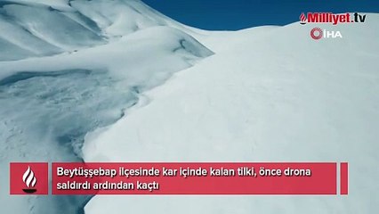 Beytüşşebap'ta tilkinin dron ile imtihanı