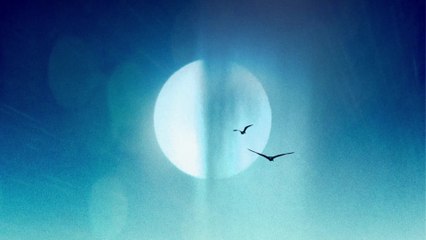 AVALAN ROKSTON - Faith (Visualizer)