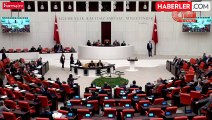 TBMM'de bir kez daha karıştı! Kürtçe dörtlük okuyan DEM Parti'li vekilin mikrofonu kapatıldı