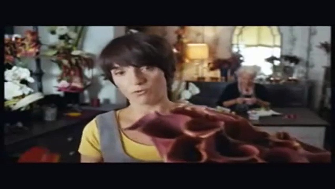 Mes amis, mes amours (2008) - Bande annonce