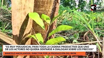 Download Video: Industriales no se presentaron a la sesión de precios de la yerba mate y el INYM convocó a cuarto intermedio