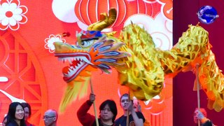 荷兰各界共同庆祝2024年中国新春活动