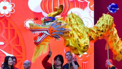 荷兰各界共同庆祝2024年中国新春活动