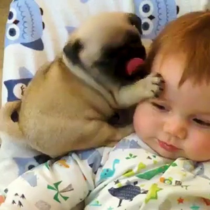 Babies and Puppies 1
