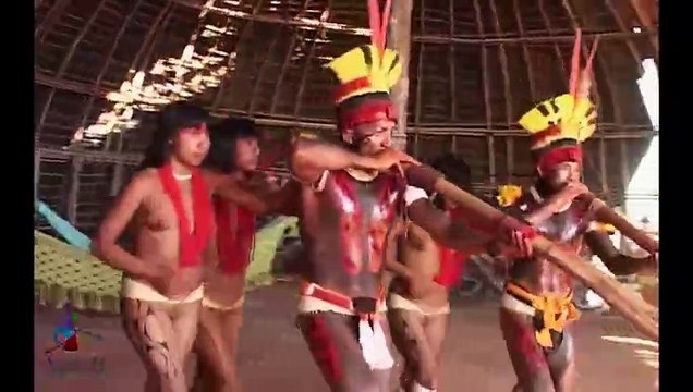 Ciné-conférence ALTAÏR : Amazonia, Les cueilleurs de mémoire (2022) - Bande annonce