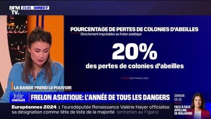 LA BANDE PREND LE POUVOIR - Frelon asiatique: la pire année