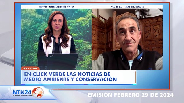 Estos son los efectos que sufren los insectos por cuenta de las grandes sequías