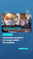 Forestales apuestan a la exportación de muebles