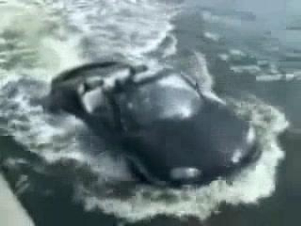 aqua-car