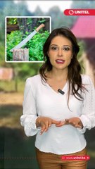 Una niña de siete años fue testigo del asesinato de su padre y hermanito, se escondió para sobrevivir y corrió 5 kilómetros en busca de su madre