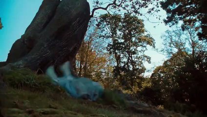 Alice au pays des merveilles (2010) - Bande annonce