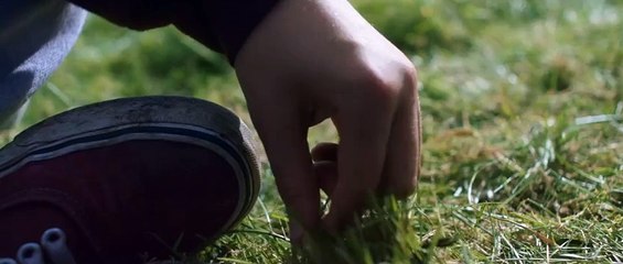 Heartstone : un été islandais (2016) - Bande annonce