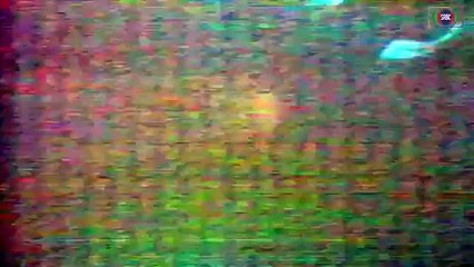 Jangloos PTV Drama - Episode 19